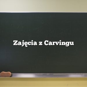 Zajęcia z Carvingu