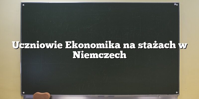 Uczniowie Ekonomika na stażach w Niemczech