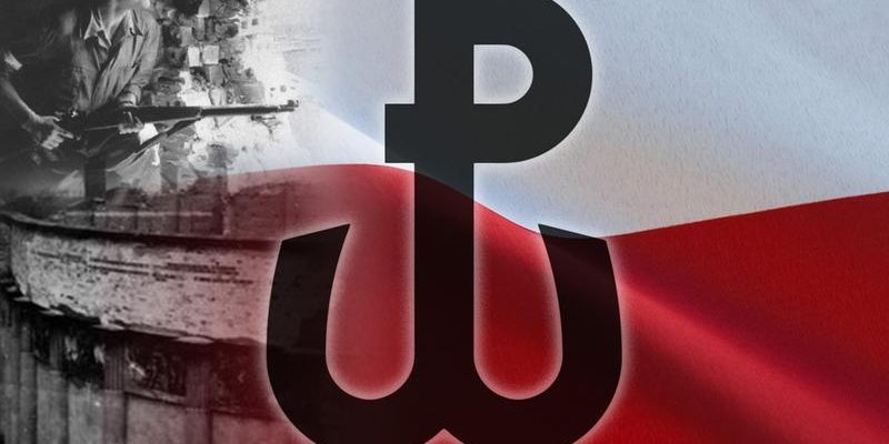 PW 01.view